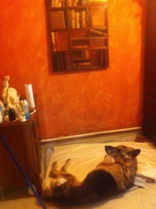 B's poor dying dog, Rocky, lying beneath one of his 'nature morte' paintings.